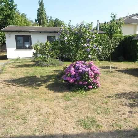 Bungalow _Carpe Diem_ Heringsdorf (Usedom) Exterior foto