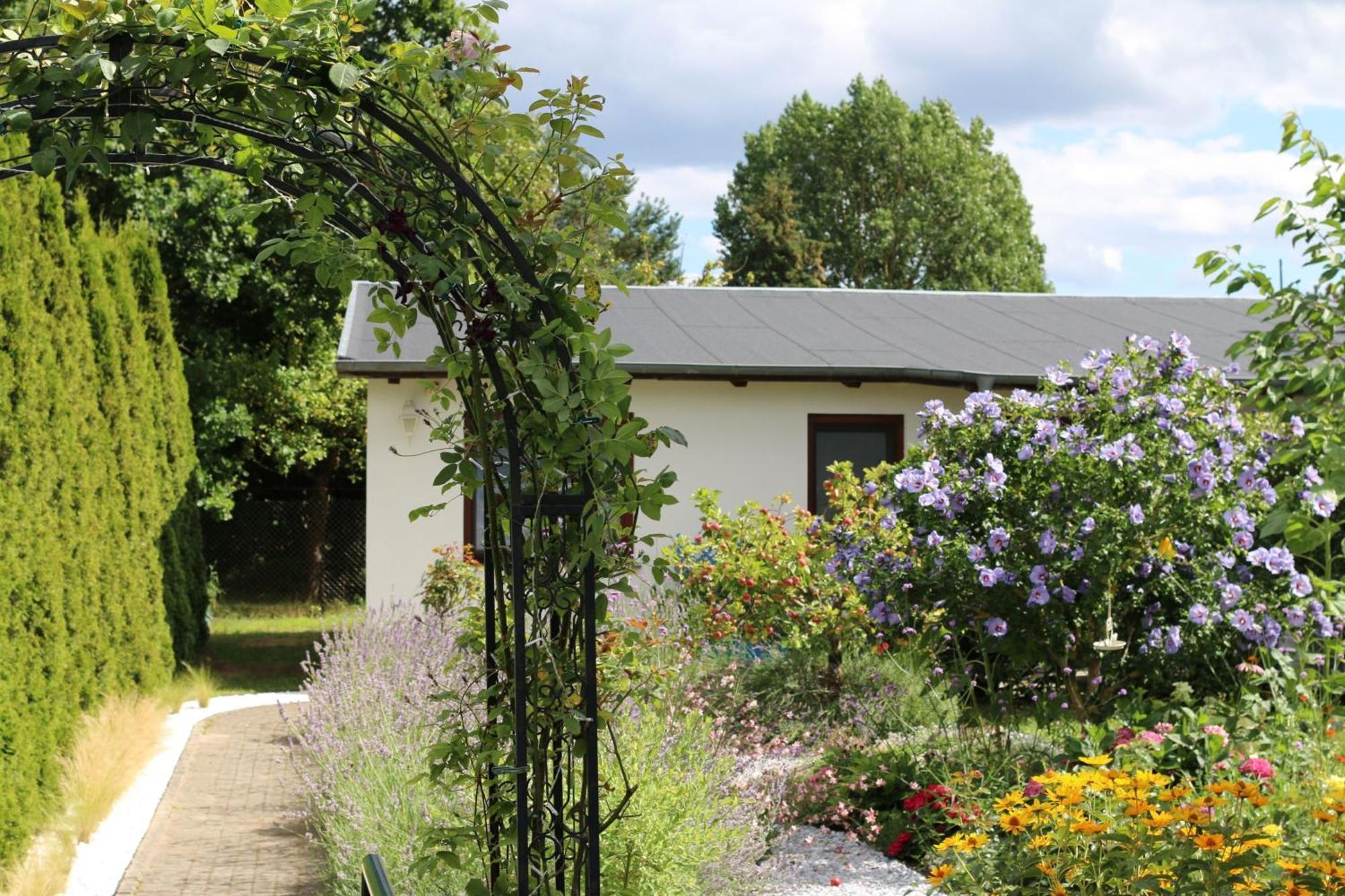 Bungalow _Carpe Diem_ Heringsdorf (Usedom) Exterior foto