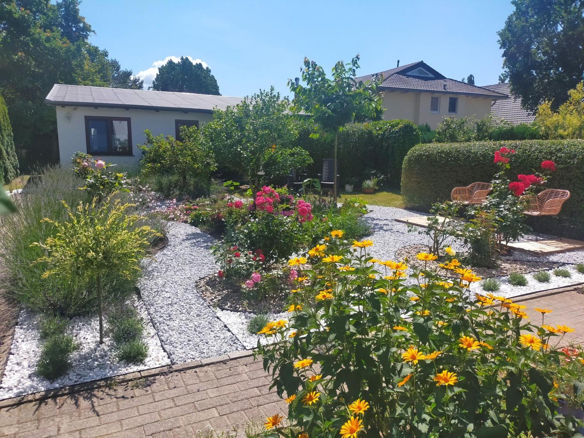 Bungalow _Carpe Diem_ Heringsdorf (Usedom) Exterior foto